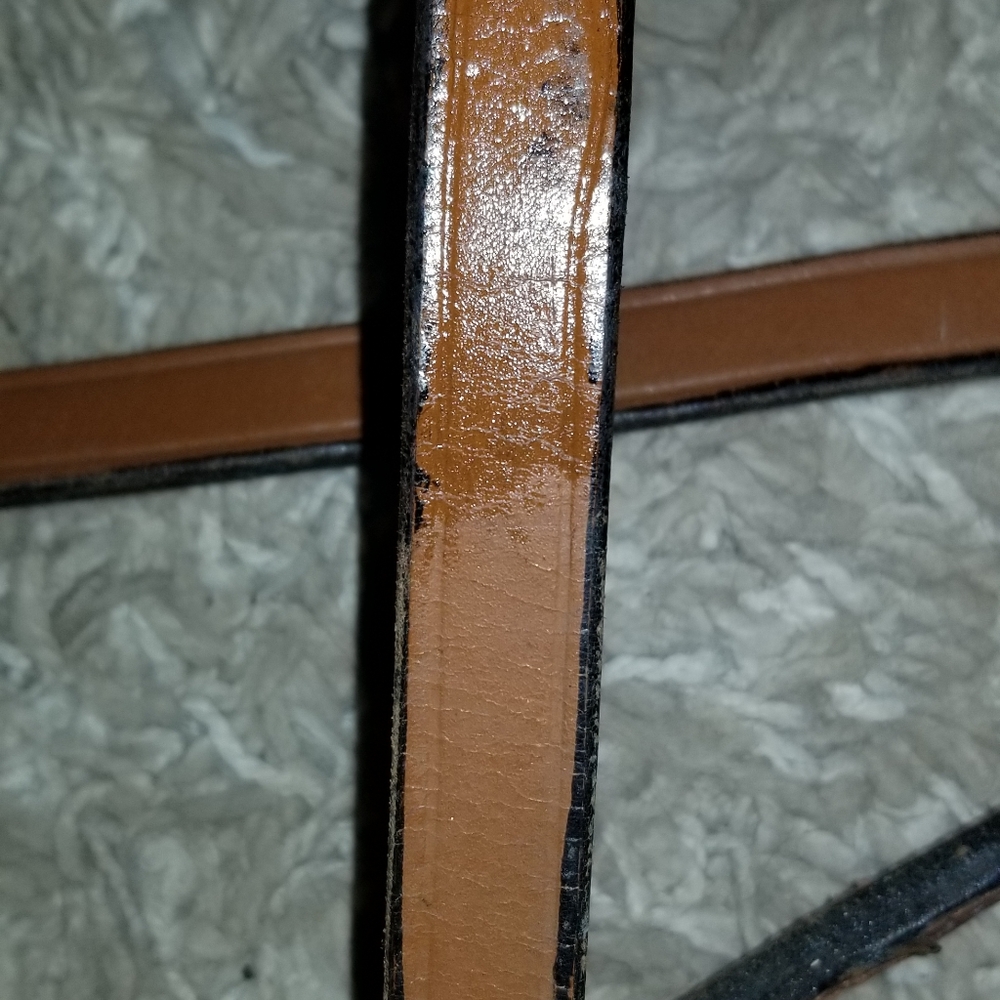 Reins - Picture 8 of 8